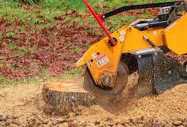 Best Hazardous Tree Removal  in Mackinac Island, MI